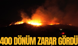 Manisa'da çıkan yangında 400 dönümlük arazi zarar gördü