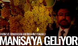 Bakan Yumaklı Manisa'ya geliyor