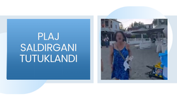 Plaj saldırganı tutuklandı