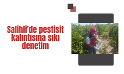 Salihli'de pestisit kalıntısına sıkı denetim