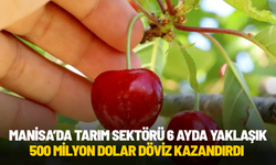 MANİSA’DA TARIM SEKTÖRÜ 6 AYDA YAKLAŞIK 500 MİLYON DOLAR DÖVİZ KAZANDIRDI