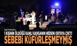 1 kişinin öldüğü kanlı kavganın nedeni ortaya çıktı! Sebebi küfürleşmeymiş