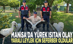 Manisa'da yürek ısıtan olay.. Yaralı leylek için seferber oldular