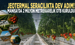 Jeotermal seracılıkta dev adım! Manisa'da 2 milyon metrekarelik OTB kuruldu
