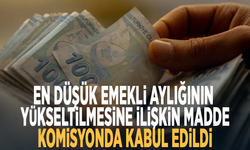 En düşük emekli aylığının yükseltilmesine ilişkin madde komisyonda kabul edildi