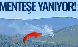 Menteşe’de orman yangını