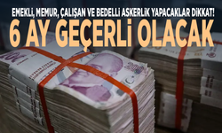 Emekli, memur, çalışan ve bedelli askerlik yapacaklar dikkat! 6 ay geçerli olacak