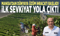 Manisa'dan dünyaya üzüm ihracatı başladı... İlk sevkiyat yola çıktı