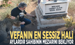 Vefanın en sessiz hali...  Aylardır sahibinin mezarını bekliyor