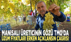 Manisalı üreticinin gözü TMO'da... Üzüm fiyatları erken açıklansın çağrısı