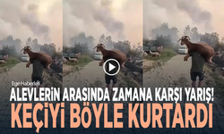Alevlerin arasında zamana karşı yarış... Keçiyi böyle kurtardı
