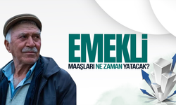 Emekli ve memur maaşları ne zaman yatacak?