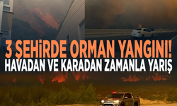 3 şehirde orman yangını! Havadan ve karadan zamanla yarış