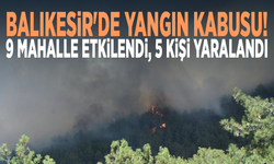 Balıkesir'de yangın kabusu! 9 mahalle etkilendi, 5 kişi yaralandı