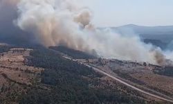 Çanakkale'de orman yangını