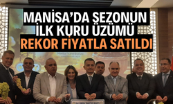 Manisa’da sezonun ilk kuru üzümü rekor fiyatla satıldı!