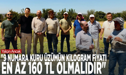 Yalçın Arıcak: "9 numara kuru üzümün kilogram fiyatı en az 160 TL olmalıdır"