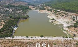 Gevenlik ve Tepegöl’e 20 bin sazan yavrusu bırakıldı