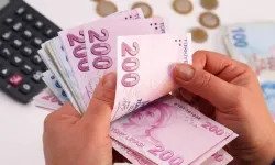 Türkiye'nin vergi rekortmenleri belli oldu
