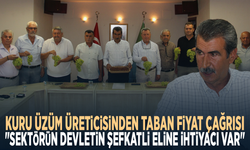 Kuru üzüm üreticisinden taban fiyat çağrısı: "Sektörün devletin şefkatli eline ihtiyacı var"