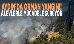 Aydın’da orman yangını! Alevlerle mücadele sürüyor