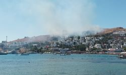 Bodrum’da makilik alanda yangın!