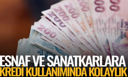 Esnaf ve sanatkârlara kredi kullanımında kolaylık