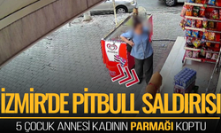 İzmir'de pitbull saldırısı: 5 çocuk annesi kadının parmağı koptu