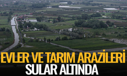 Evler ve tarım arazileri sular altında