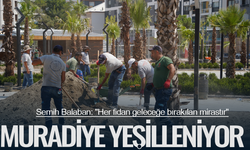 Yunusemre Belediyesi Muradiye'yi yeşillendiriyor