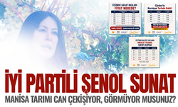 İYİ Partili Sunat: Manisa tarımı can çekişiyor, görmüyor musunuz?
