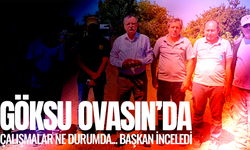 Başkan Balaban, Muradiye Göksu Ovası'ndaki çalışmaları inceledi