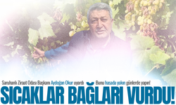 Manisa'da sıcaklar bağları vurdu! Üreticiye kritik uyarı!