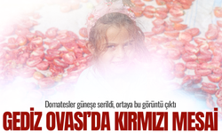 Gediz Ovası’nda kırmızı şölen: Domatesler böyle kurutuluyor