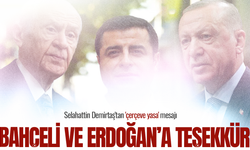 Selahattin Demirtaş'tan 'çerçeve yasa' mesajı: