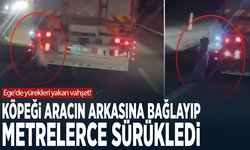 Ege'de yürekleri yakan vahşet! Köpeği aracın arkasına bağlayıp metrelerce sürükledi