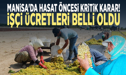 Manisa'da hasat öncesi kritik karar! İşçi ücretleri belli oldu