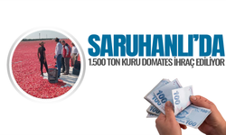 Saruhanlı'da kurutmalık domates ekonomiye güç katıyor