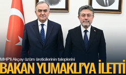MHP'li Akçay'dan Bakan Yumaklı'ya üzüm dosyası: "Üretici korunmalı"