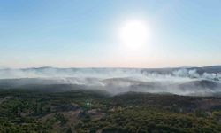Gebze’deki orman yangını havadan görüntülendi