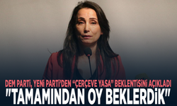 DEM Parti, YENİ Parti’den “çerçeve yasa” beklentisini açıkladı: "Tamamından oy beklerdik"