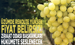 Üzümde rekolte yüksek, fiyat belirsiz! Ziraat Odası başkanları hükümete seslenecek
