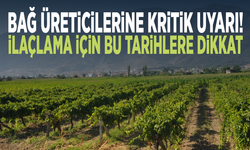 Bağ üreticilerine kritik uyarı! İlaçlama için bu tarihlere dikkat