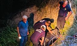 Sumak toplamaya giden yaşlı kadın ölü bulundu