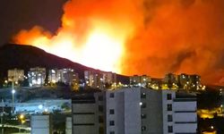 Ankara’da ağaçlık alanda yangın