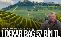Başkan Okur Yeni Tesis Edilen Üzüm Bağının Maliyetini Açıkladı