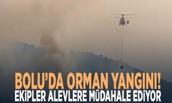 Bolu’da orman yangını! Ekipler alevlere müdahale ediyor