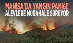 Manisa'da yangın paniği! Alevlere müdahale sürüyor