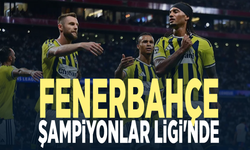 Fenerbahçe Şampiyonlar Ligi'nde