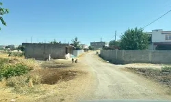 Diyarbakır'da kuduz teşhisi konulan 4 yaşındaki çocuk kurtarılamadı